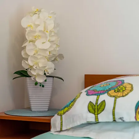 Πανσιόν & Frane