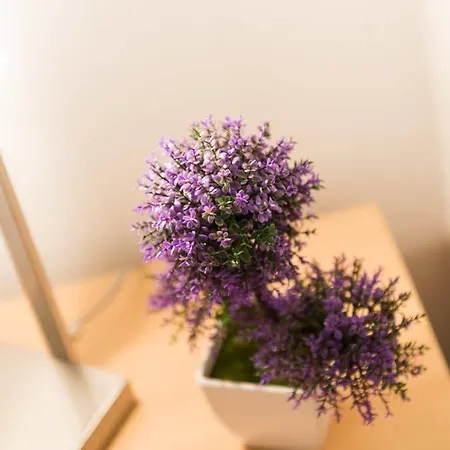 & Frane Πανσιόν