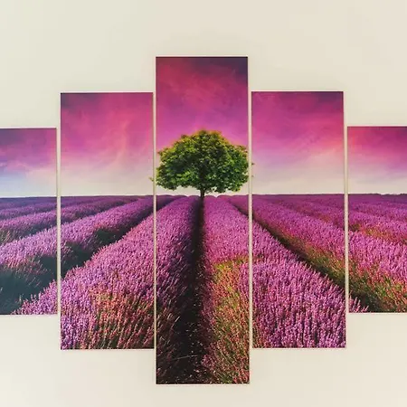 Πανσιόν & Frane